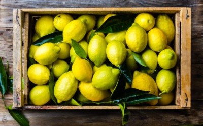 Prețul lămâilor s-a dublat în Europa pe fondul cererii ridicate