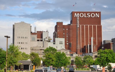 Molson Coors, scădere de 8,7% a vânzărilor nete la nivel global în Q1 2020