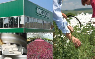 Dacia Plant, un business care transformă natura în supliment alimentar