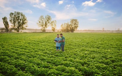 PepsiCo vrea extinderea practicilor de agricultură regenerabilă pe 2,8 mil. hectare până în 2030 