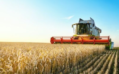 Analiză: 56% dintre companiile cu profil agricol, pe profit în anul pandemiei