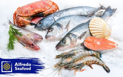   Alfredo Seafood, vânzări de pește de 56 mil. lei la nouă luni