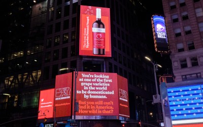 Carrefour România Deschide Vinul Românesc la New York