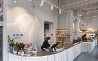 Ce planuri are Ototo, un concept de retail inovator care crește ca-n povești