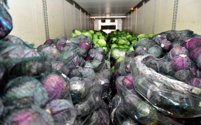 Metro România cumpără legume de la Casa de Comerț Agroalimentar Unirea