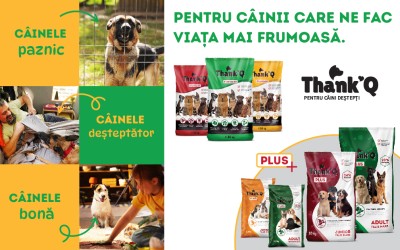 GAMA&GAMA lansează prima campanie pentru brandul românesc Thank’Q