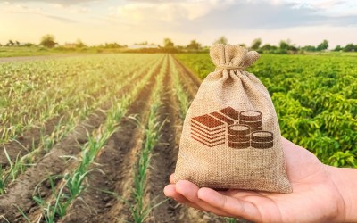 Fermierii pot accesa credite garantate de stat echivalente a „De cinci ori subvenția”