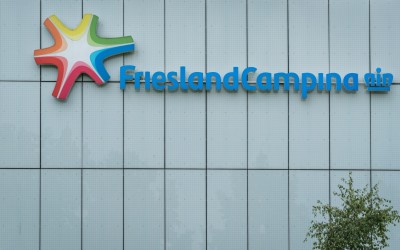FrieslandCampina va concedia 1.800 de angajați