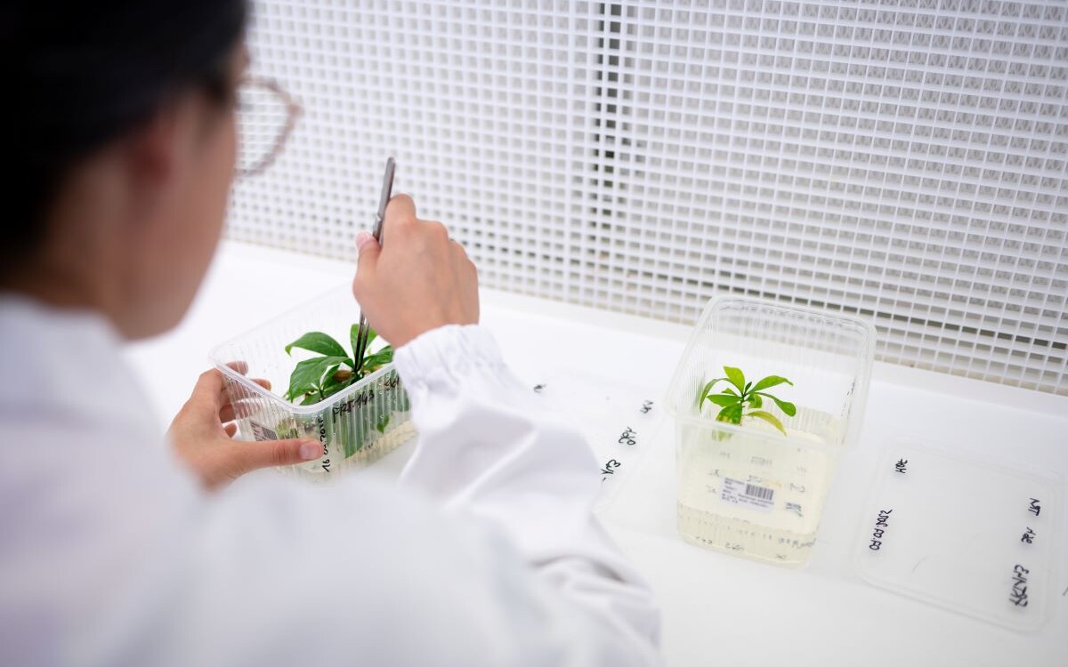 Nestle Centru Cercetare Tours_RD