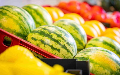 Freshful by eMAG a livrat în timpul verii cu 60% mai mulți pepeni decât anul trecut. Vezi mai multe pe revistaprogresiv.ro