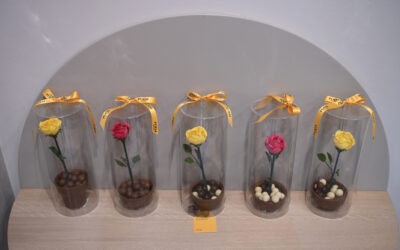 Vera Maxim, Poem Chocolat inaugurare in Capitala