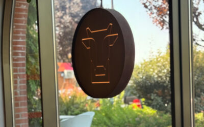 Meat Concept Store Iași