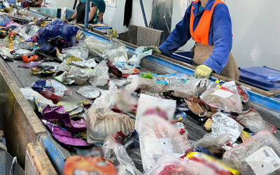 RoFlex proiect pilot pentru impulsionarea ambalajelor flexibile