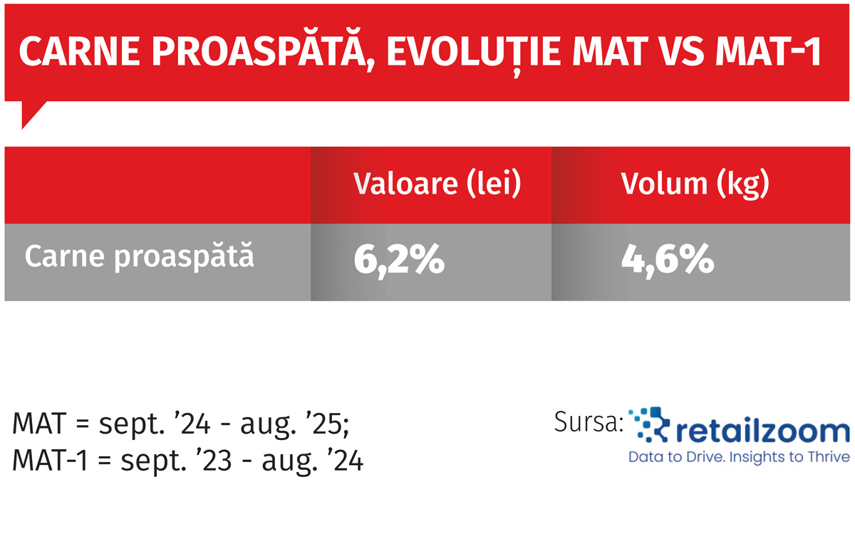 focus carne gr 01 308