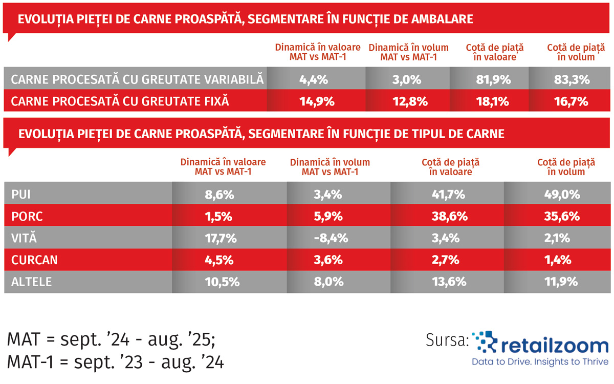 focus carne gr 02 308