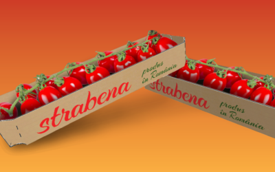 Colaborare DS Smith si Serele SupeR pentru inlocuirea ambalajelor din plastic de unica folosinta