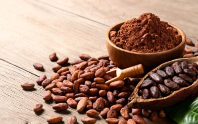 Coface: Prețurile la cacao scad brusc pe măsură ce se apropie sezonul sărbătorilor de iarnă