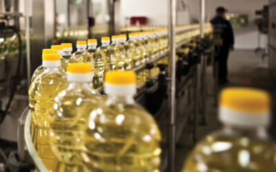 Uleiul de consum, o piață la granița dintre comodizare și premiumizare. Detalii pe revistaprogresiv.ro
