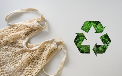 Eficienta energetica si economia circulara esentiale pentru companii si comunitati