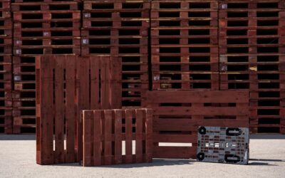 IPP intră pe piața din România cu servicii de închiriat paleți pentru industria FMCG. Detalii pe revistaprogresiv.ro