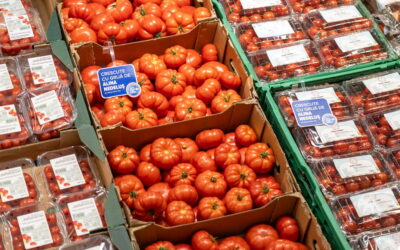 Frigiderul românilor în sezonul rece: consumul de citrice crește de patru ori decât în restul anului. Detalii pe revistaprogresiv.ro