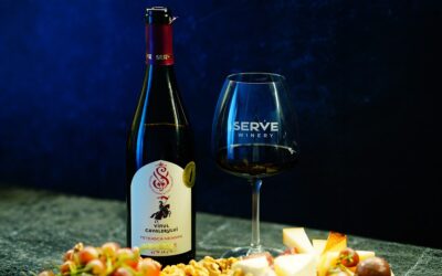Purcari Wineries anunță semnarea documentelor privind preluarea cramei SERVE. Detalii pe revistaprogresiv.ro