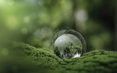 Sustenabilitatea, pusă în plan secund de presiunea inflației. Detalii pe revistaprogresiv.ro