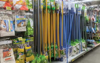 Categoria care face switch de la inovația de formă la cea cu impact real. Detalii pe revistaprogresiv.ro