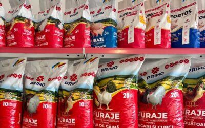 Carmistin vizează construirea celei mai mari fabrici de furaje din România, proiectată la o capacitate de producție de 85 to/h. citeste mai mult pe revistaprogresiv.ro